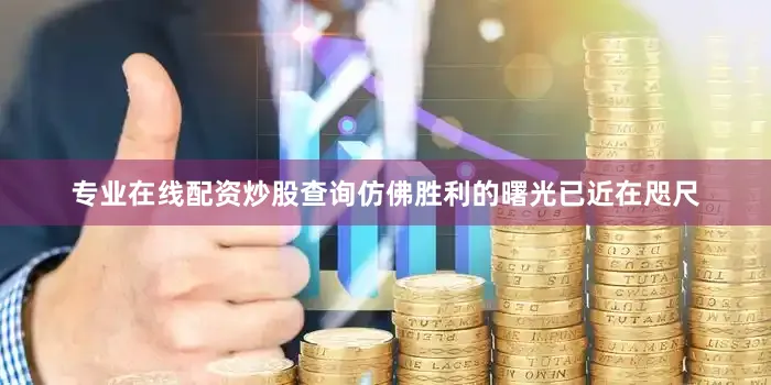 专业在线配资炒股查询仿佛胜利的曙光已近在咫尺
