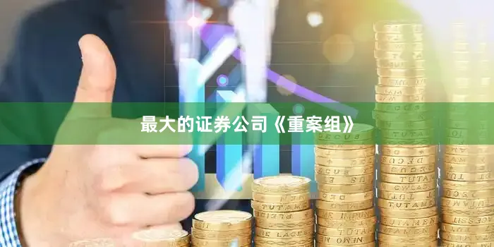 最大的证券公司《重案组》