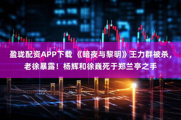 盈珑配资APP下载 《暗夜与黎明》王力群被杀，老徐暴露！杨辉和徐巍死于郑兰亭之手